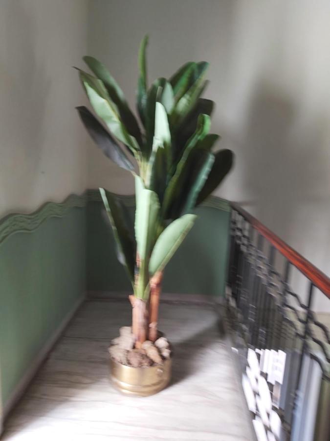 Costa E Mare Apartment Savona